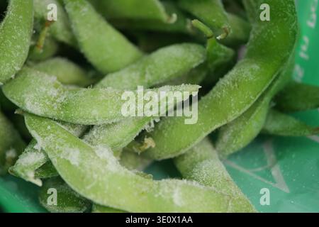Frozen green beans are ready for cooking in a basket Stock Photo