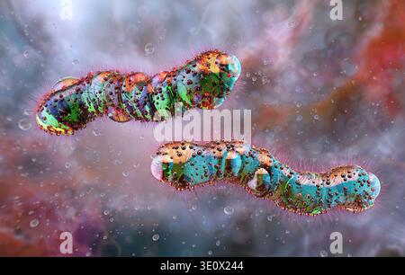 Rod Bacteria Diff Quick Illustration of rod-shaped bacteria. Rod-shaped bacteria include ...