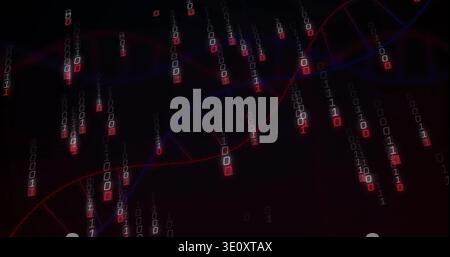 Streaming red-blue DNA helix intersecting falling binary streams in data display, red glow Stock Photo