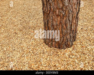 Wood chips of various sizes on the ground in a playground to form a soft surface for safety. Backgrounds Stock Photo