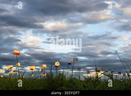 Small birdhouse-like structures rise above grass under a dramatic cloudy sky. The minimalist composition and open space create a surreal, artistic landscape with a calm yet dynamic mood. Stock Photo