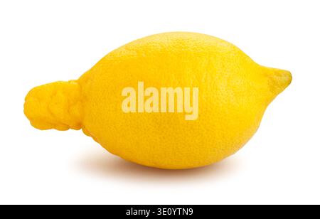 lemon path isolated on white Stock Photo
