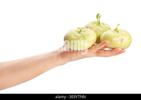 kohlrabi in hand path isolated on white Stock Photo