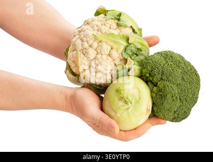 cabbage mix in hand path isolated on white Stock Photo
