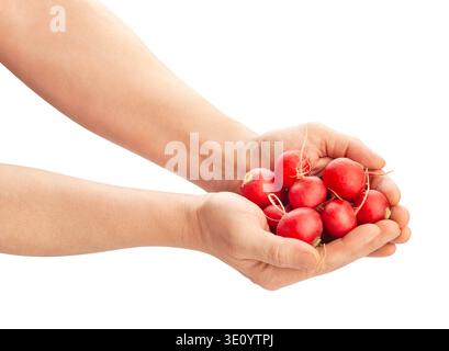 radish in hand path isolated on white Stock Photo