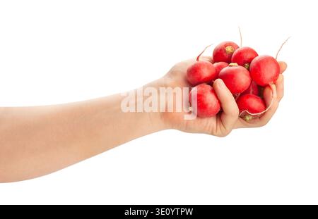 radish in hand path isolated on white Stock Photo