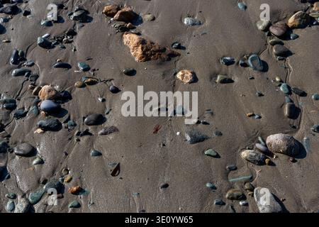 Multi colored pebbles and small stones embedded in wet textured sand on a shoreline Stock Photo