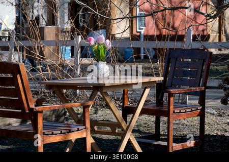 Two wooden chairs surround a table adorned with fresh tulips under warm sunlight. Stock Photo