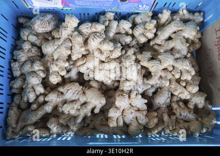 Ginger roots for sale, fresh ginger roots in blue box on market Stock Photo