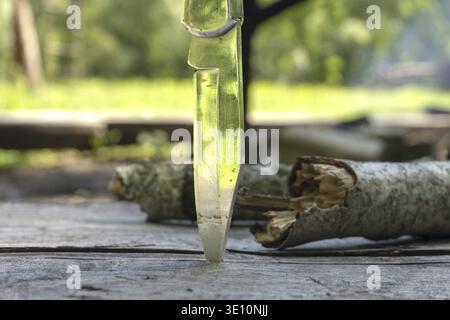 Close-up of a fixed blade knife piercing a split piece of wood on a weathered wooden surface. The green, out outdoor background creates a rustic, outd Stock Photo