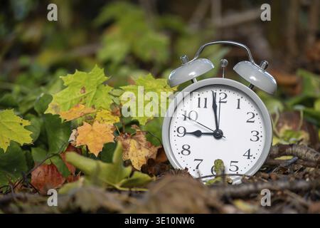 A close-up of a classic alarm clock nestled among fallen leaves, capturing the essence of autumn and the passage of time Stock Photo