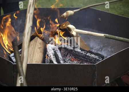 Two pieces of twisted dough on wooden sticks roasting over a campfire made of chopped wood and kindling in a metal fire pit, during a camping trip Stock Photo