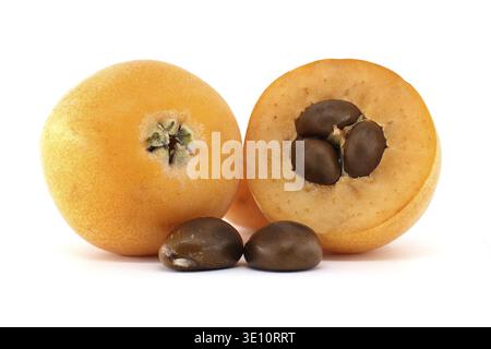 Whole loquat fruit sits next to a loquat cut in half revealing three large brown seeds with two additional seeds lying in front on a white background Stock Photo