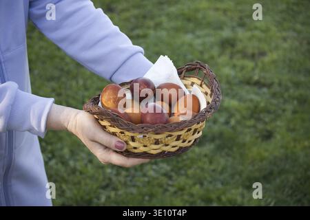 A person holds a wicker basket filled with dyed Easter eggs, showcasing a traditional holiday symbol. The image is set against a blurred green backgro Stock Photo