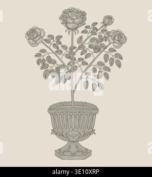Roses flower in ancient vase, Vintage engraving drawing stye illustration Stock Vector