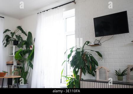 Sunny kitchen interior, white tiles, large window, potted greens, clean lines, natural daylight, minimalist, use in home inspiration portfolio Stock Photo