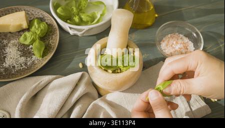 Hands adding fresh basil leaves into marble mortar with pine nuts for Genovese pesto. High angle shot of traditional Italian sauce preparation on Stock Photo