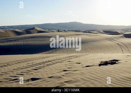 St Anthony Sand dunes in Idaho with tyre tracks running through. Shadows cast on the sand with ripples in sand from wind Stock Photo