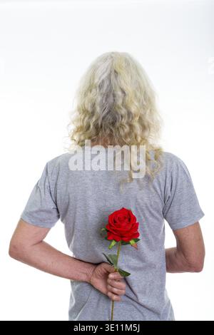 Back view of senior bearded man hiding red rose behind back ready for Valentine's day Stock Photo