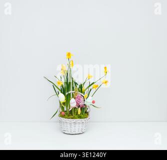 Easter basket with flowers on a white table. Spring flowers daffodils and hyacinths in a basket on a white background with copy space. Stock Photo