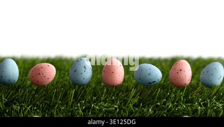 Easter pink and blue eggs on green grass isolated on a white background. Banner. Copy space. Stock Photo