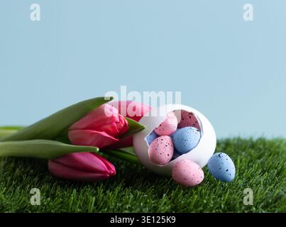 Easter colored eggs with tulips in green grass on a blue background. Beautiful Easter composition with small colorful eggs in a hatched chicken egg. C Stock Photo