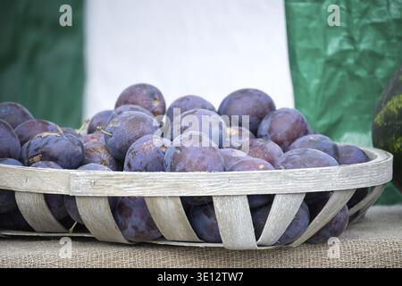 The plums, with their deep purple hues, are presented in a woven basket, creating a visually appealing arrangement. The scene is set on a burlap surfa Stock Photo