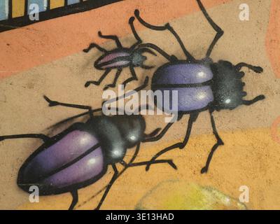 Purple and black beetles painted as graffiti on an urban wall Stock Photo