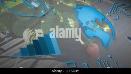 Displaying ripe red strawberry with leaves in studio, showing grid, bar-chart, globe, circuits Stock Photo