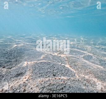 Sandy seabed with rippled sand patterns visible underwater in clear shallow sea water Stock Photo