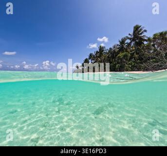 Palm trees line tropical sandy beach beside clear shallow turquoise ocean water in split-level above and below water view. Stock Photo