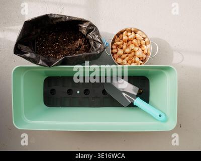 Gardening supplies including soil, seeds, and a trowel arranged on a light surface Stock Photo