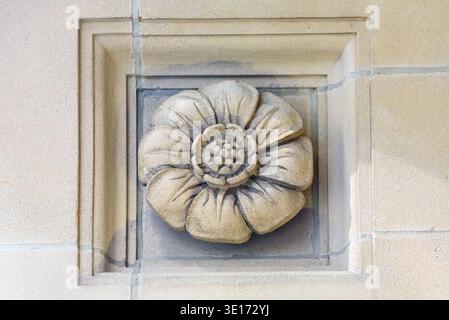 Decorative stone flower relief carved into a historic building facade. Architectural feature of the Canada Permanent Trust Building in Bay Street. Stock Photo