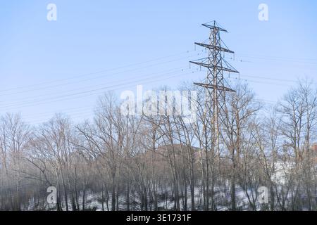 Electrical transmission tower with power lines rising above leafless trees in a winter landscape. Stock Photo