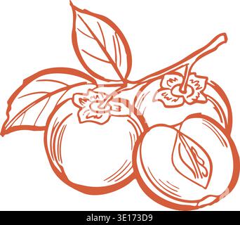 Orange line art illustration of cherries on a branch with leaves and stems Stock Vector