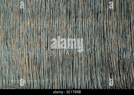 Painted blue reed fence surface used as beach barrier creating natural texture background with vertical pattern. Stock Photo