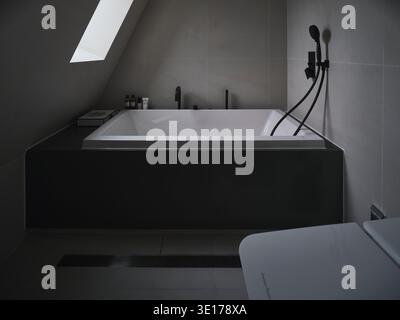 Moody bathroom with skylight and dark finishes. Stock Photo