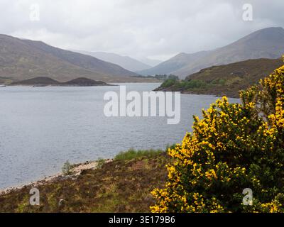 Loch Cluanie and surrounding mountains in low cloud, North West Highlands, Scotland, UK, May 2022 Stock Photo