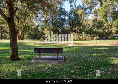 Dark red bench on concrete pad overlooks calm pond waters reflecting sky and distant foliage, framed by tall eucalypt trees with peeling bark and spra Stock Photo