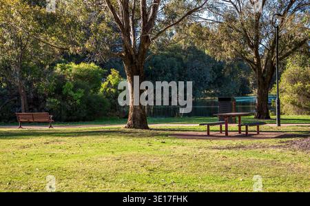 Dark red bench on concrete pad rests in dappled shade of tall eucalypt trees with peeling bark and sprawling branches, facing calm pond waters covered Stock Photo