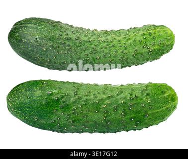 Two fresh green prickly cucumbers isolated on white background. File contains clipping path. Stock Photo