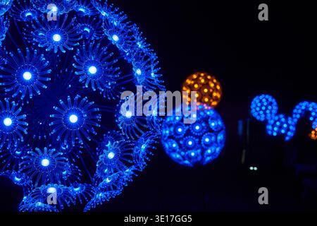 Close-up view of intricate blue fiber optic light sculptures resembling dandelion flowers glowing brightly against a dark night background. The... Stock Photo
