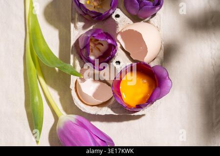 A vibrant display of purple tulips nestled in eggshells, with a bright egg yolk resting inside. This spring-themed composition evokes the essence of E Stock Photo