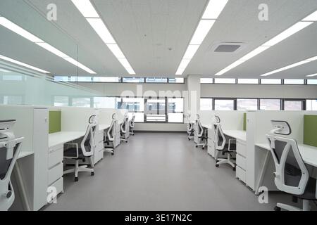 Open office with white workstations and bright daylight. Stock Photo