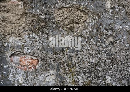 Natural grey stone surface covered with white and green lichen texture. Weathered rock wall background, organic mineral pattern close-up Stock Photo