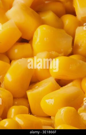 Boiled sweet corn, large group close-up macro shot Stock Photo