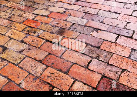 Wet clay brick paver surface used for street flooring, showing texture, pattern, and moisture after rain in urban outdoor environment. Selective focus Stock Photo