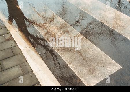 Rain-soaked pedestrian zebra crossing with wide white stripes partially submerged in shallow muddy puddles. Selective focus. Stock Photo