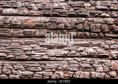 Burnt timber surface featuring black carbonized texture from fire Stock Photo