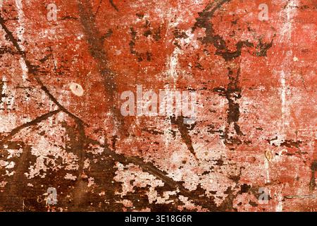 Painted wood background. Stock Photo